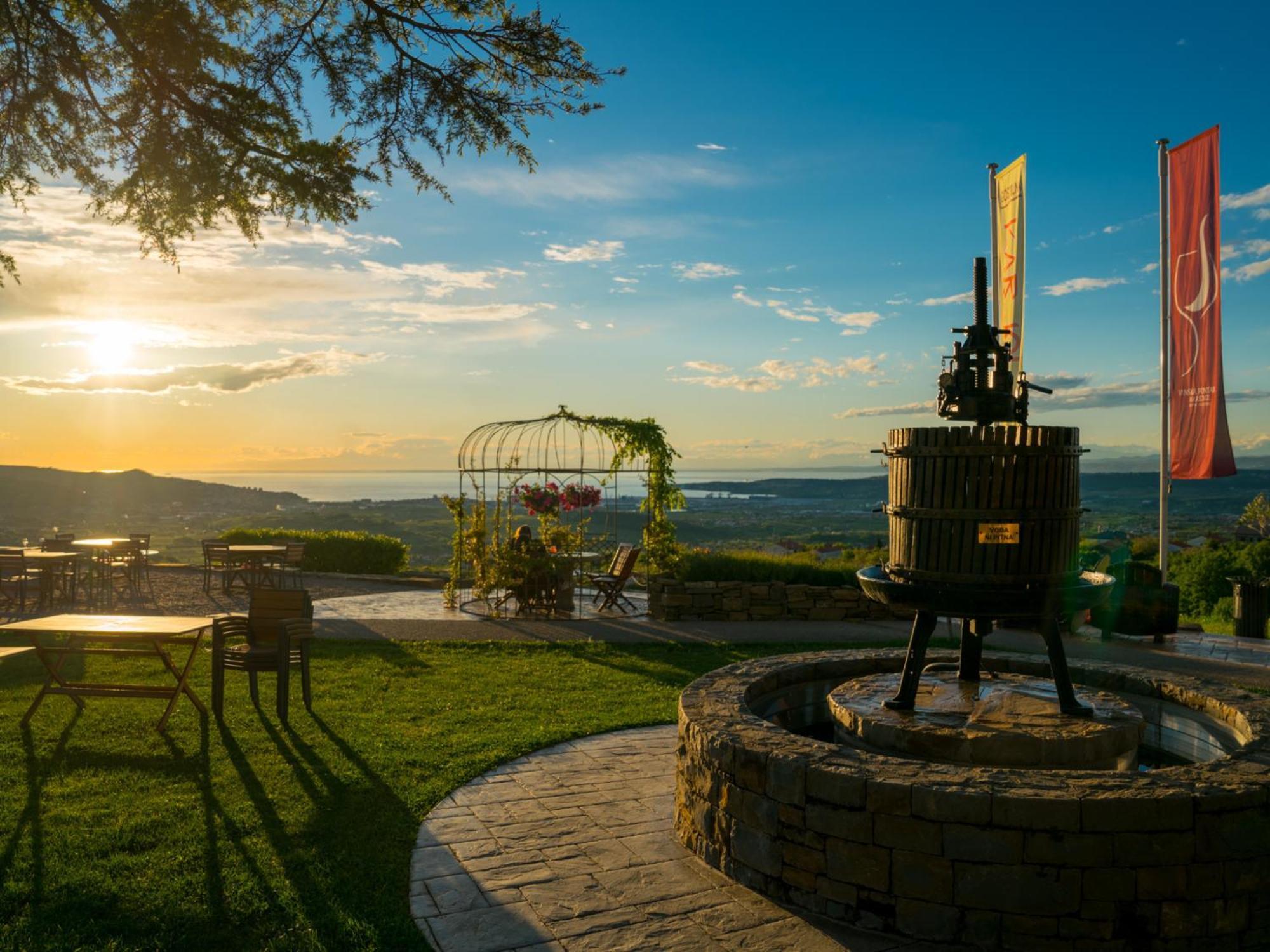 Wine Paradise - Glamping Resort Marezige Exterior foto