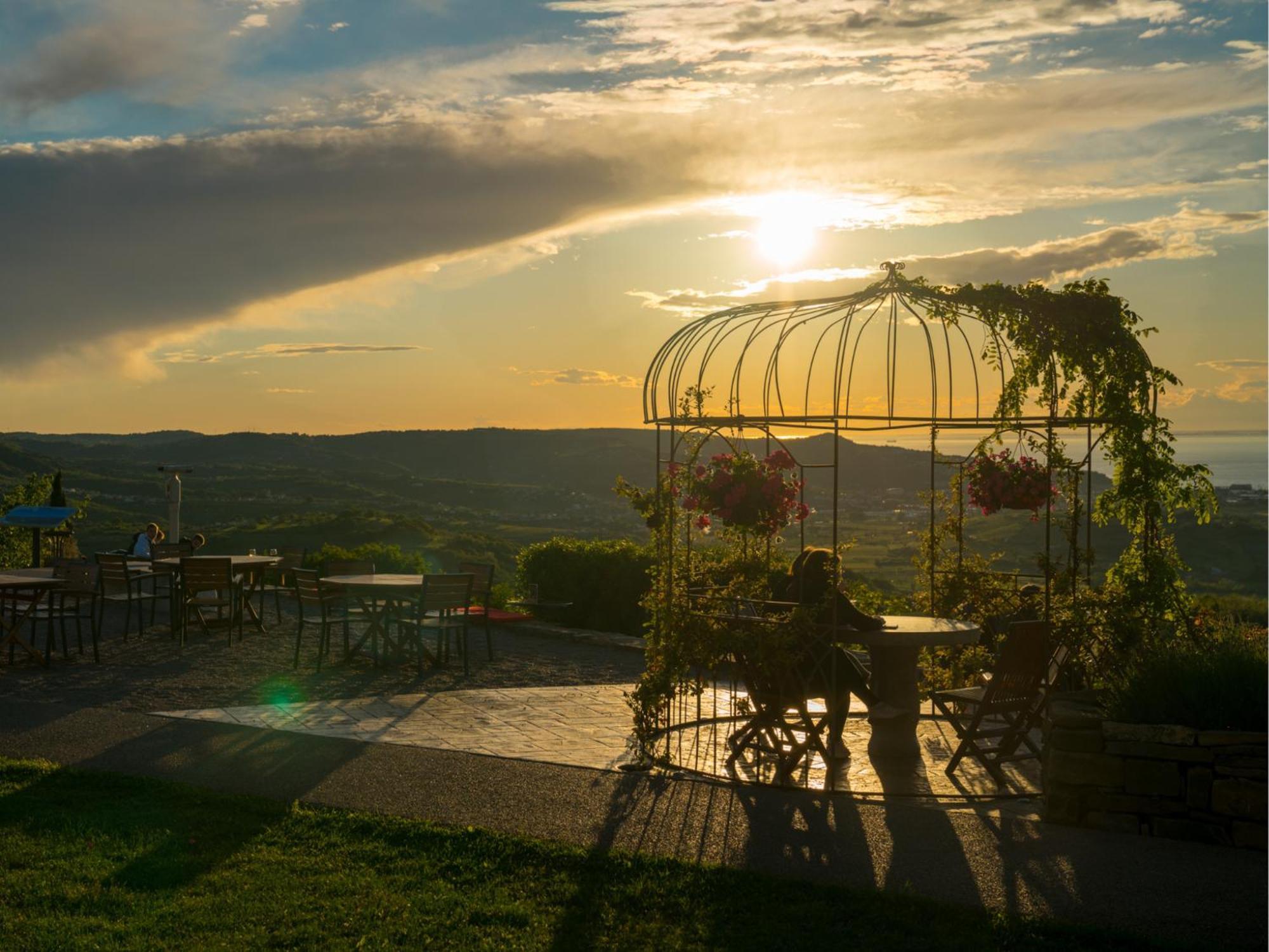 Wine Paradise - Glamping Resort Marezige Exterior foto